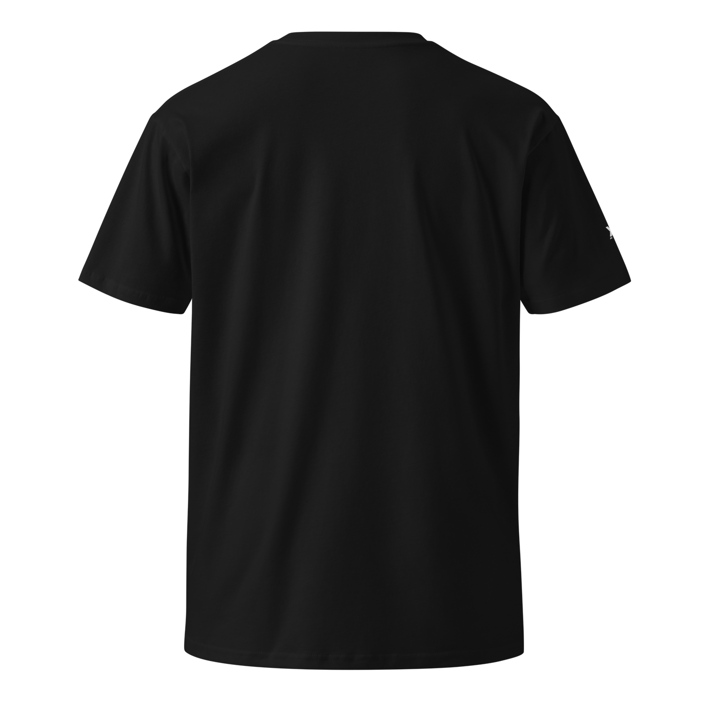Palestine Flag Unisex Premium T-Shirt | 100% Combed Cotton Crew Neck Tee for Men & Women 2026