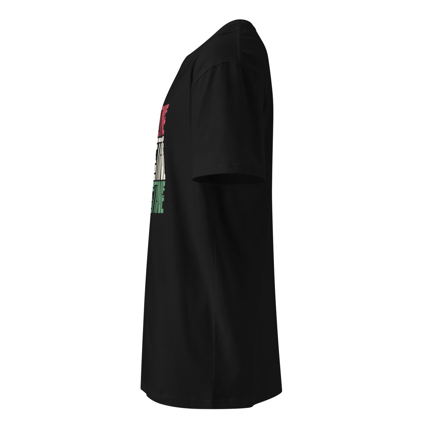 Palestine Flag Unisex Premium T-Shirt | 100% Combed Cotton Crew Neck Tee for Men & Women 2026